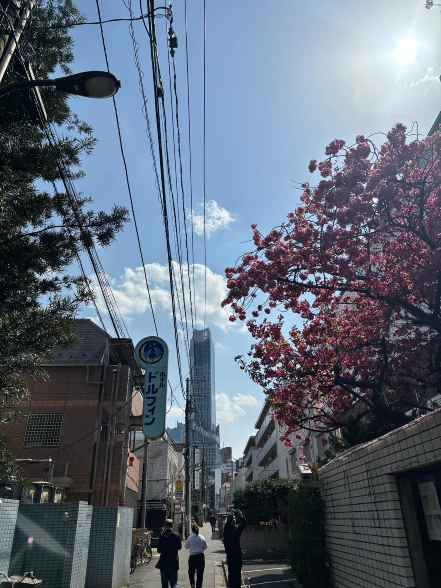 City Hotel Dolphin Tokyo Bagian luar foto