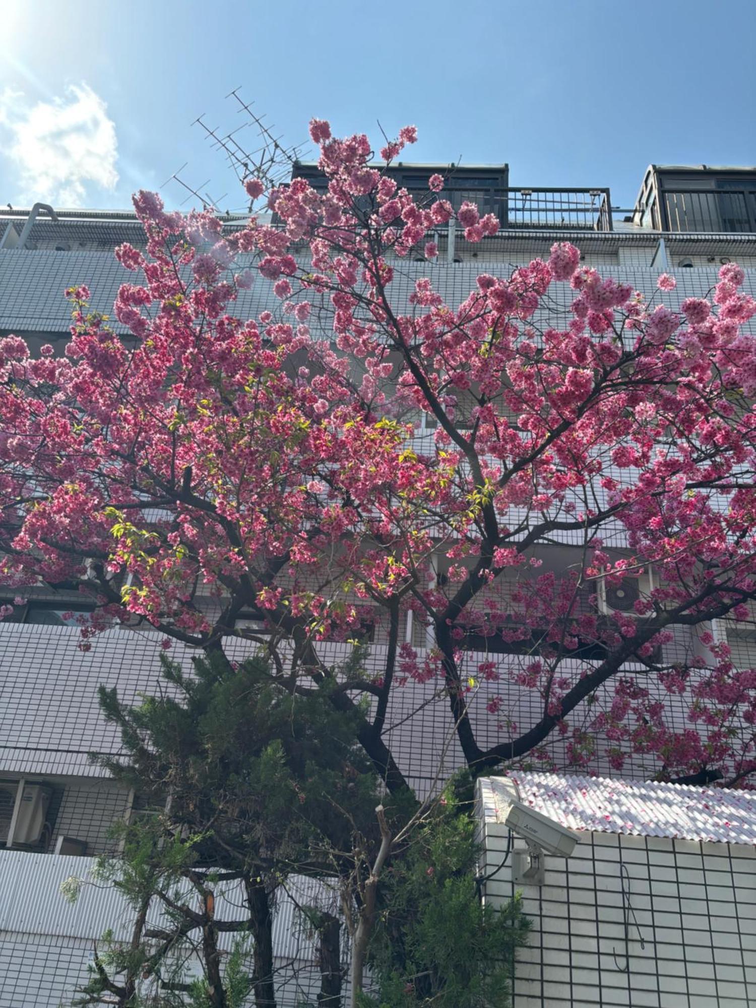 City Hotel Dolphin Tokyo Bagian luar foto